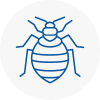 Bed Bug Extermination In Saxmundham