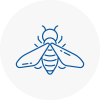 Bee Nest Removal Saxmundham