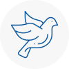 Bird Prevention Saxmundham