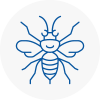 Saxmundham Hornet Nest Removals