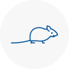 Mice Exterminators In Saxmundham