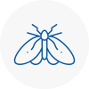 Moth Control Specialists In Saxmundham