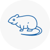 Rat Control Saxmundham