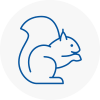 Saxmundham Rodent Removals