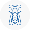 Saxmundham Wasp Nest Removal